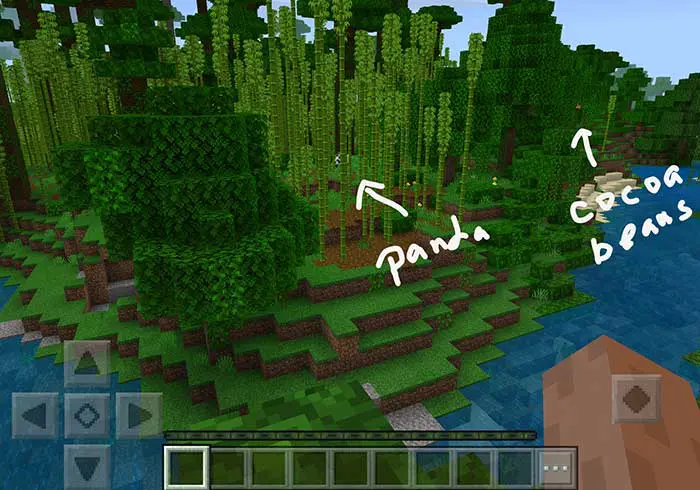 minecraft cocoa beans and panda jungle