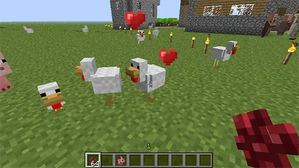 breeding minecraft chickens