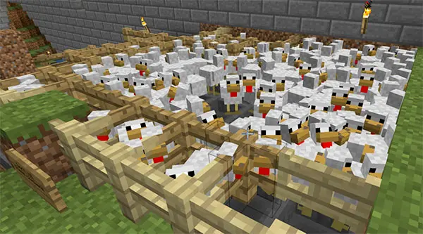 large minecraft chicken farm