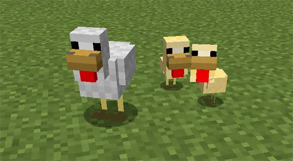 minecraft chicken with babies