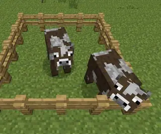 minecraft cows in pen