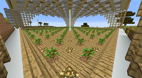 minecraft oak tree farm