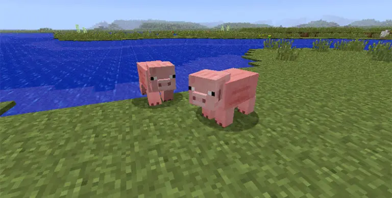 minecraft pigs by water