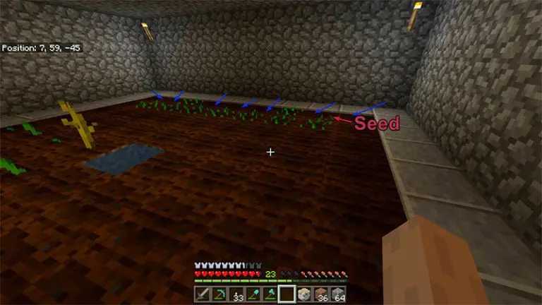 minecraft seed popping out of dirt