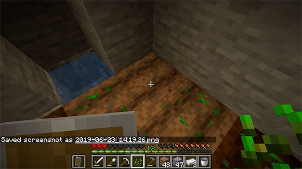 minecraft garden seed popping out