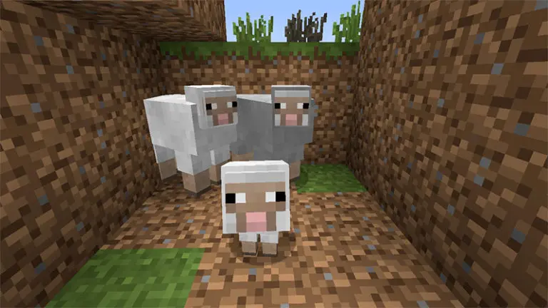 minecraft sheeps
