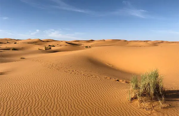 desert in egypt