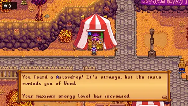 stardew valley favorite thing stardrop