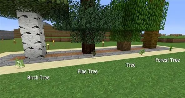 types of minecraft trees