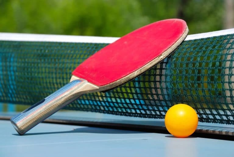Best Outdoor Ping Pong Tables (2022)
