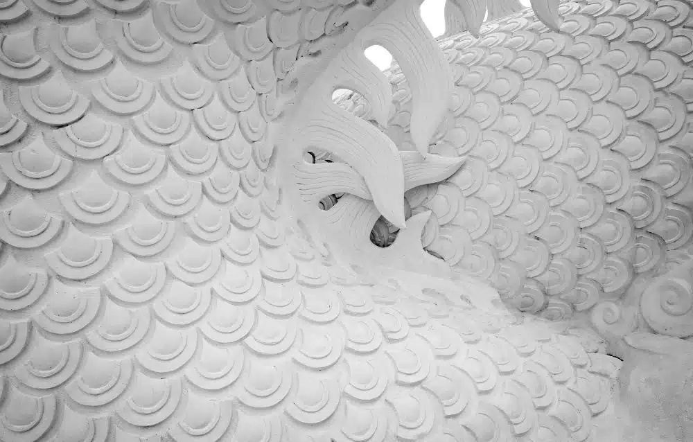 white dragon scales